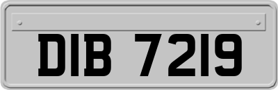 DIB7219