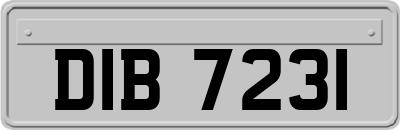 DIB7231