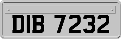 DIB7232