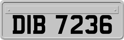 DIB7236