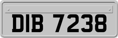 DIB7238