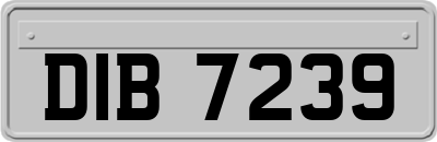 DIB7239