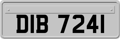 DIB7241