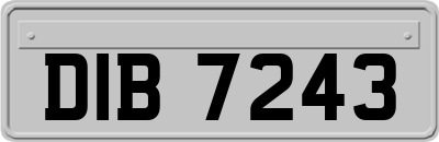 DIB7243