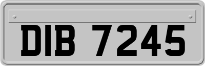 DIB7245