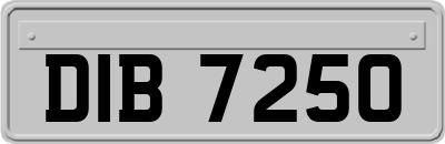 DIB7250
