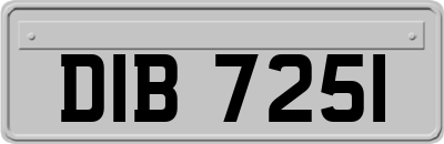 DIB7251