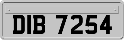 DIB7254