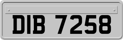 DIB7258