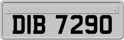 DIB7290
