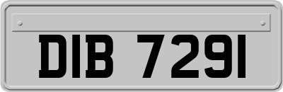DIB7291