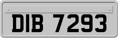 DIB7293