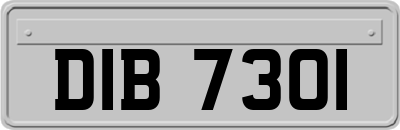 DIB7301