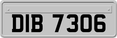 DIB7306