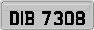 DIB7308