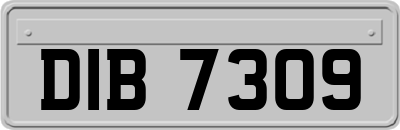 DIB7309