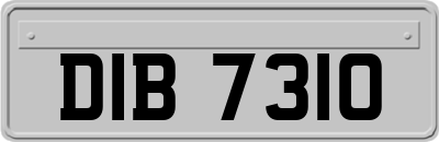 DIB7310