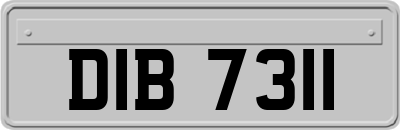 DIB7311