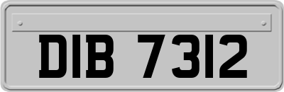 DIB7312