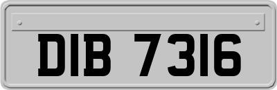 DIB7316