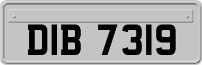 DIB7319