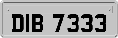 DIB7333