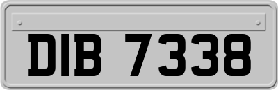 DIB7338