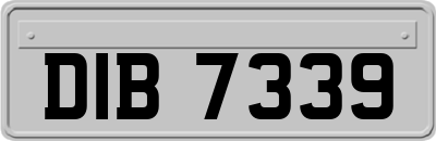 DIB7339