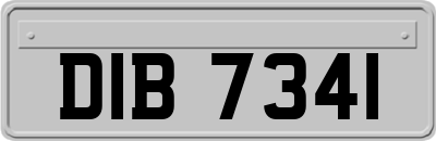 DIB7341
