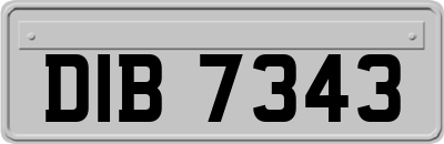 DIB7343