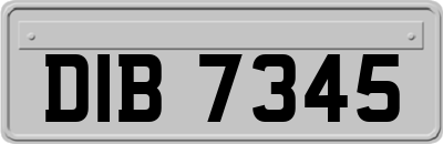 DIB7345