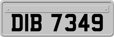 DIB7349