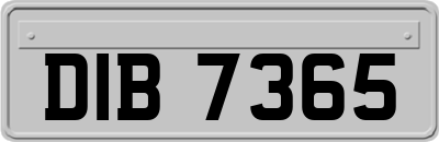 DIB7365