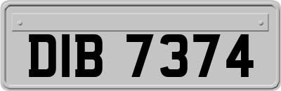 DIB7374
