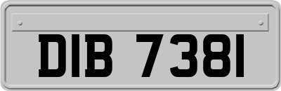 DIB7381