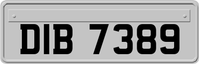 DIB7389