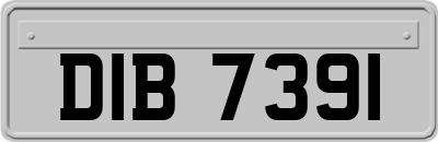 DIB7391