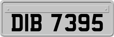 DIB7395