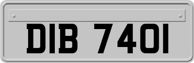 DIB7401