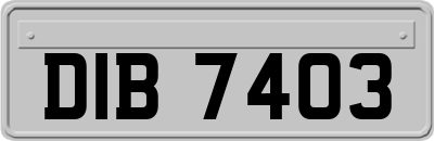DIB7403