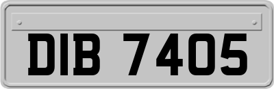 DIB7405