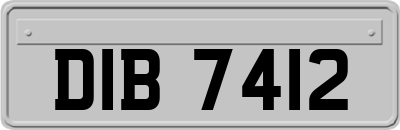 DIB7412