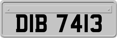 DIB7413