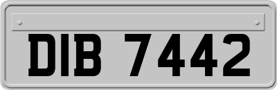 DIB7442