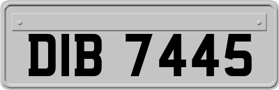 DIB7445