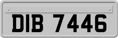 DIB7446