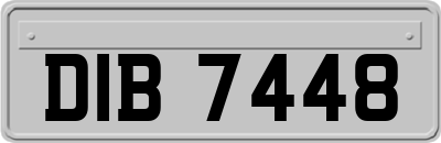 DIB7448