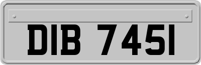 DIB7451