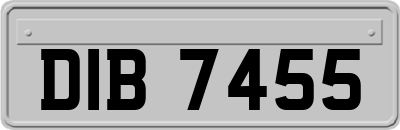 DIB7455