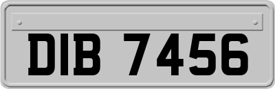 DIB7456